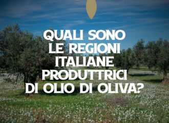 Produzione olio di oliva in Italia - Olio Ciccolella
